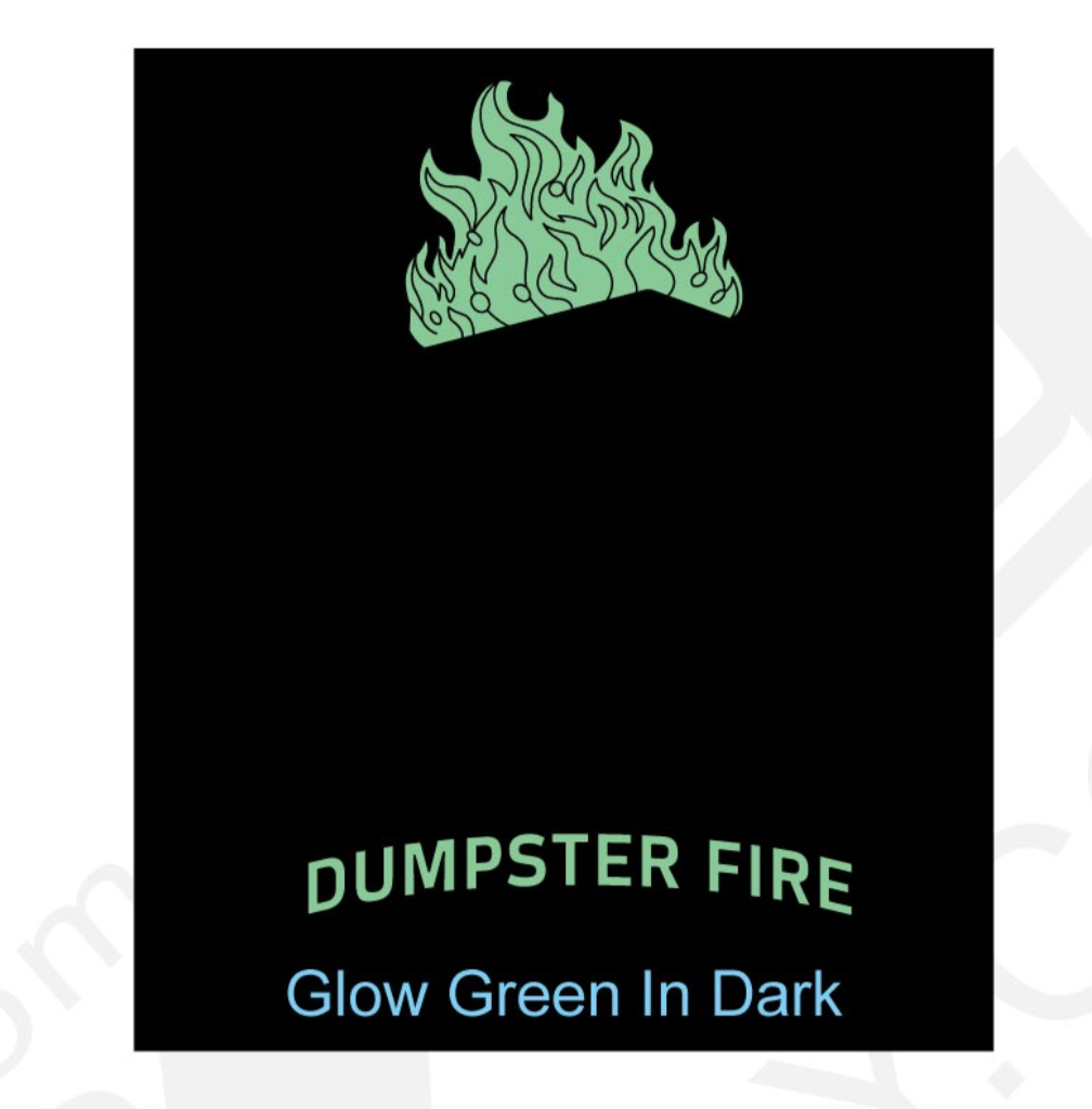 2028 Olympics Dumpster Fire Coin