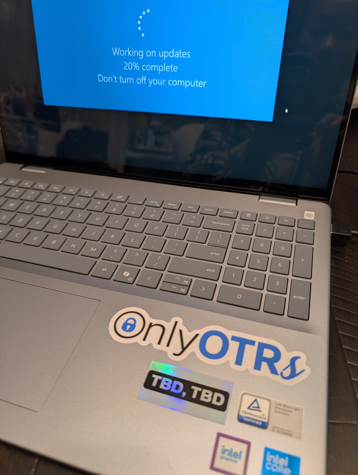 6 piece TBD sticker sheet - holographic